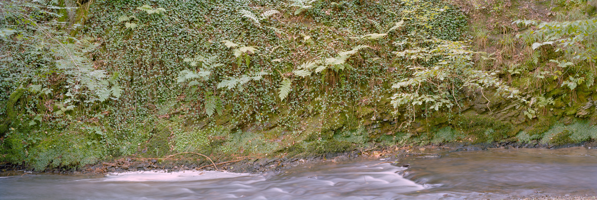 Landschaft, Natur, analoge Fotografie, Großformat, Panoramafotografie, Markus Bollen, 6x17, grün, Leben, Wachstum, Frieden, Ruhe, Gras, Wiese, Fotografie, Photographie, Photography, large format photography, Grossformatphotographie, Bergisches Land, Bergisch Gladbach, Altenberg, Eifgenbach, Odenthal, Felsen, Wasser, Fluss, water, river, Bach, stream, Langzeitbelichtung, long exposure, moss, Moos, Efeu, 