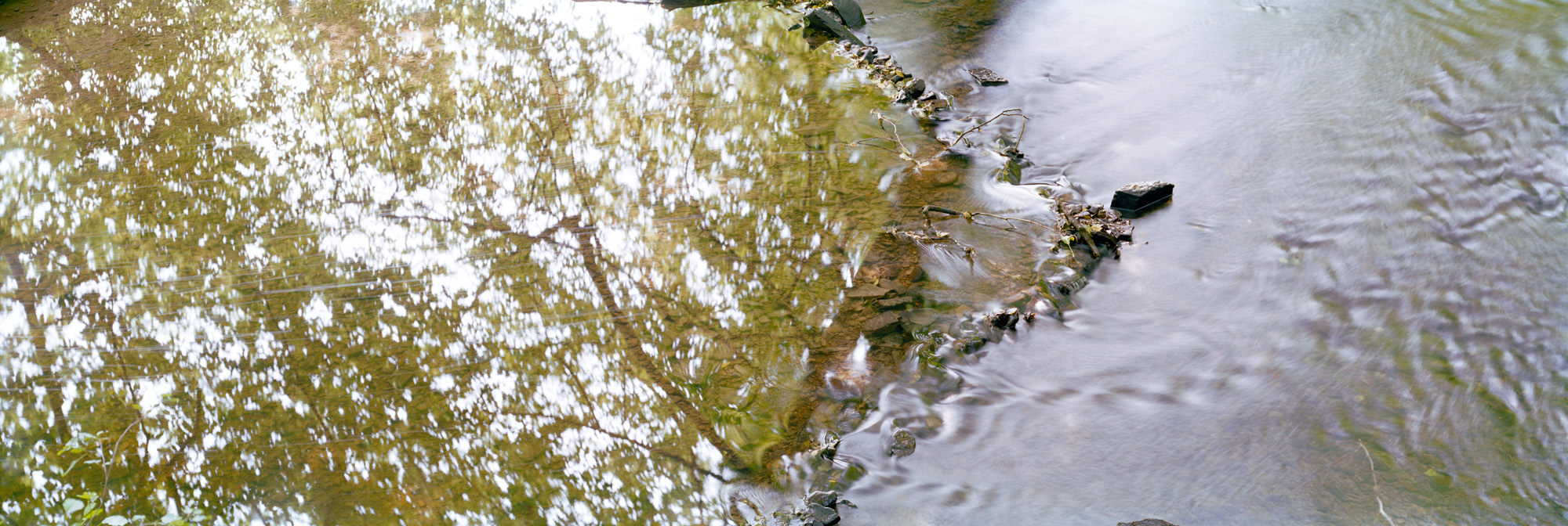 Landschaft, Natur, analoge Fotografie, Großformat, Panoramafotografie, Markus Bollen, 6x17, grün, Leben, Wachstum, Frieden, Ruhe, Gras, Wiese, Fotografie, Photographie, Photography, large format photography, Grossformatphotographie, Bergisches Land, Bergisch Gladbach, Altenberg, Eifgenbach, Odenthal, Felsen, Wasser, Fluss, water, river, Bach, stream, Langzeitbelichtung, long exposure, moss, Moos, Efeu, 