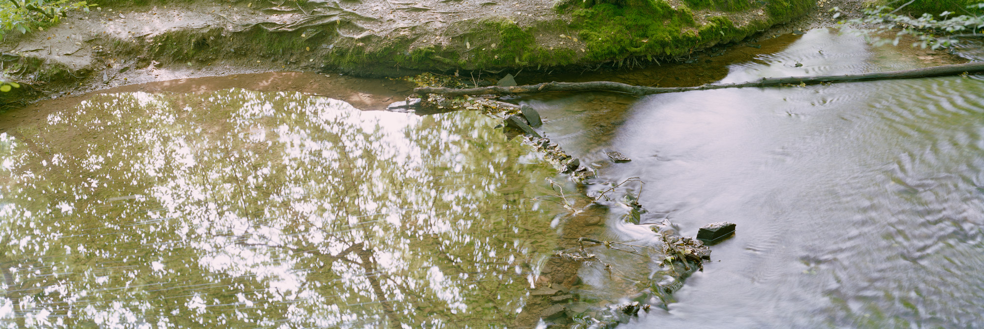 Landschaft, Natur, analoge Fotografie, Großformat, Panoramafotografie, Markus Bollen, 6x17, grün, Leben, Wachstum, Frieden, Ruhe, Gras, Wiese, Fotografie, Photographie, Photography, large format photography, Grossformatphotographie, Bergisches Land, Bergisch Gladbach, Altenberg, Eifgenbach, Odenthal, Felsen, Wasser, Fluss, water, river, Bach, stream, Langzeitbelichtung, long exposure, moss, Moos, Efeu, 