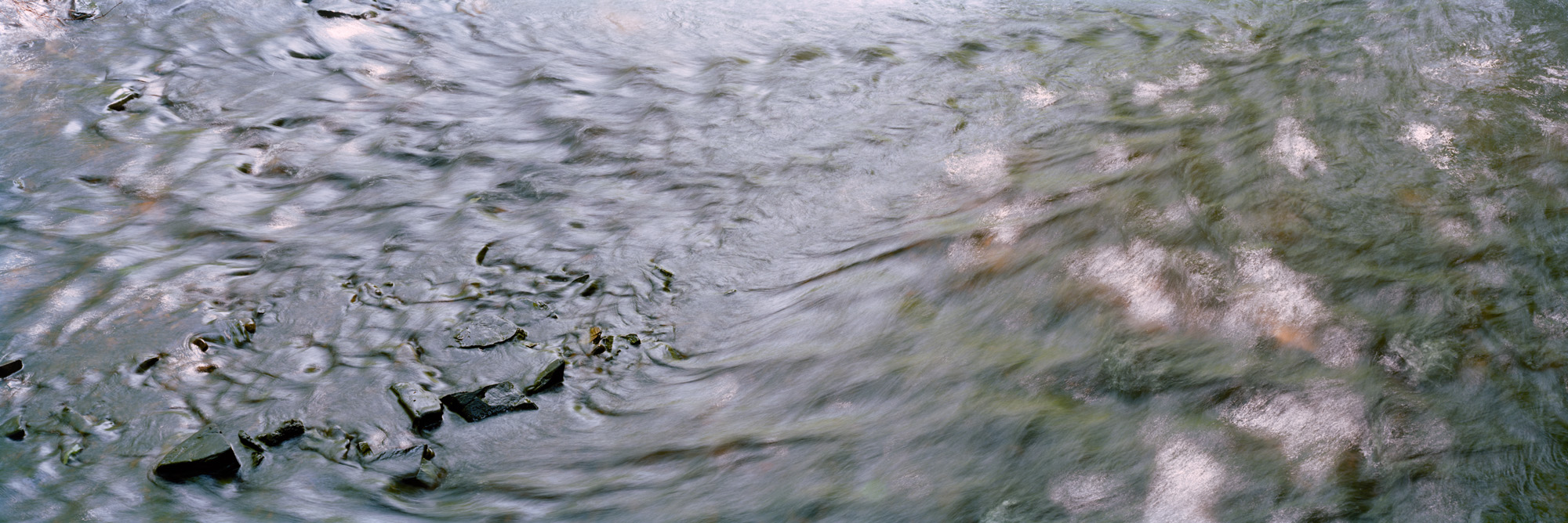 Landschaft, Natur, analoge Fotografie, Großformat, Panoramafotografie, Markus Bollen, 6x17, grün, Leben, Wachstum, Frieden, Ruhe, Gras, Wiese, Fotografie, Photographie, Photography, large format photography, Grossformatphotographie, Bergisches Land, Bergisch Gladbach, Altenberg, Eifgenbach, Odenthal, Felsen, Wasser, Fluss, water, river, Bach, stream, Langzeitbelichtung, long exposure, moss, Moos, Efeu, 