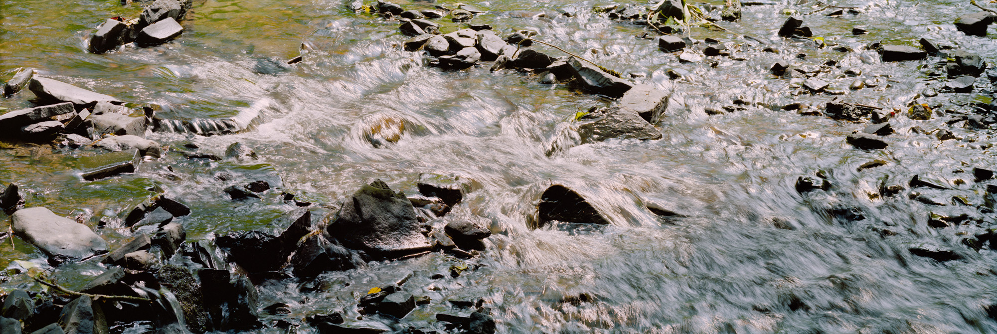 Landschaft, Natur, analoge Fotografie, Großformat, Panoramafotografie, Markus Bollen, 6x17, grün, Leben, Wachstum, Frieden, Ruhe, Gras, Wiese, Fotografie, Photographie, Photography, large format photography, Grossformatphotographie, Bergisches Land, Bergisch Gladbach, Altenberg, Eifgenbach, Odenthal, Felsen, Wasser, Fluss, water, river, Bach, stream, Langzeitbelichtung, long exposure, moss, Moos, Efeu, 