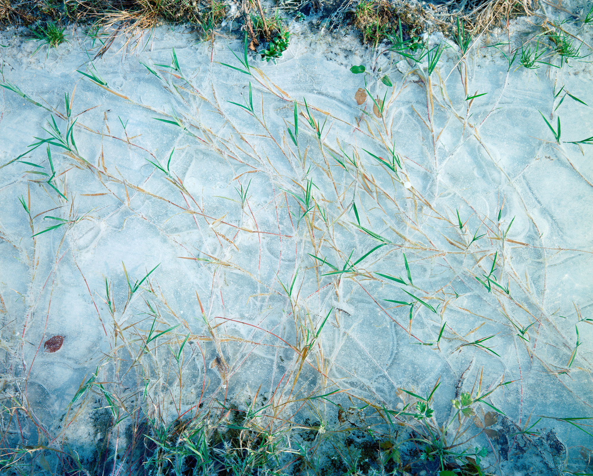 Wasser, water, Eis, ice, Landschaft, landscape, Weitblick, view, large format photography, Grossformatfotografie, Grossformatphotographie, Fotografie, Photographie, photography, white, weiss, blue, blau, green, grün, 6x17