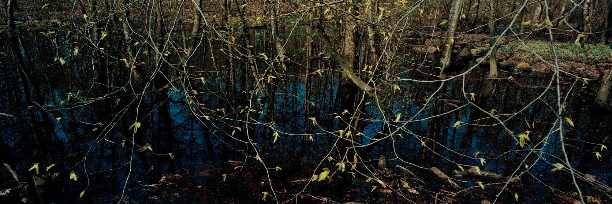 Wasser, water, Eis, ice, Landschaft, landscape, Weitblick, view, large format photography, Grossformatfotografie, Grossformatphotographie, Fotografie, Photographie, photography, white, weiss, blue, blau, green, grün, 6x17