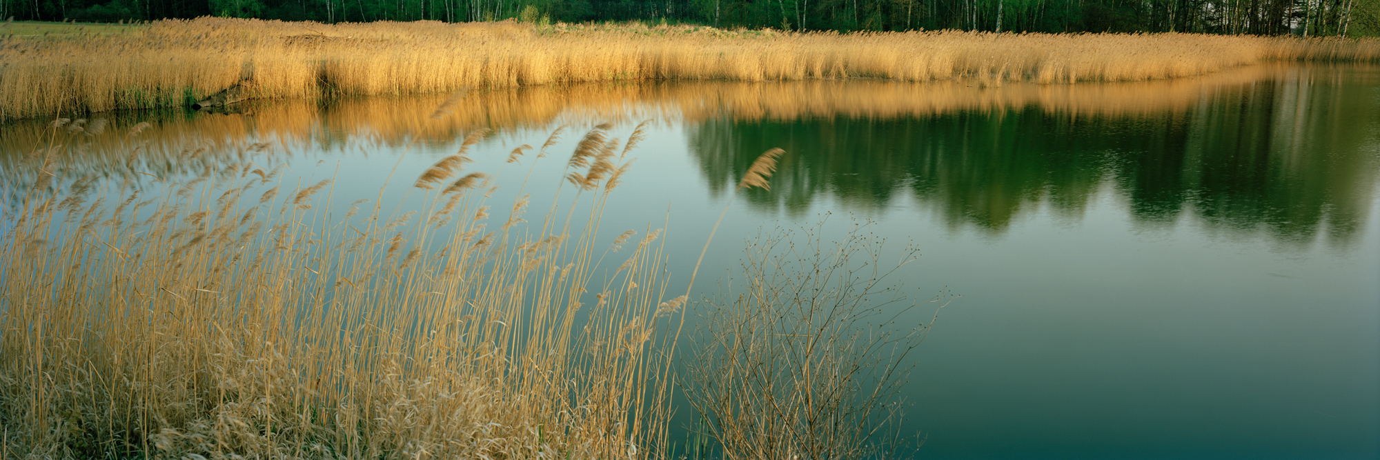 large format photography, Grossformatfotografie, Grossformatphotographie, Fotografie, Photographie, photography, 6x17, Tagebau, Braunkohle, Braunkohleabbau, Umwelt, Natur, braun, Erde, Gestein, Sand, 